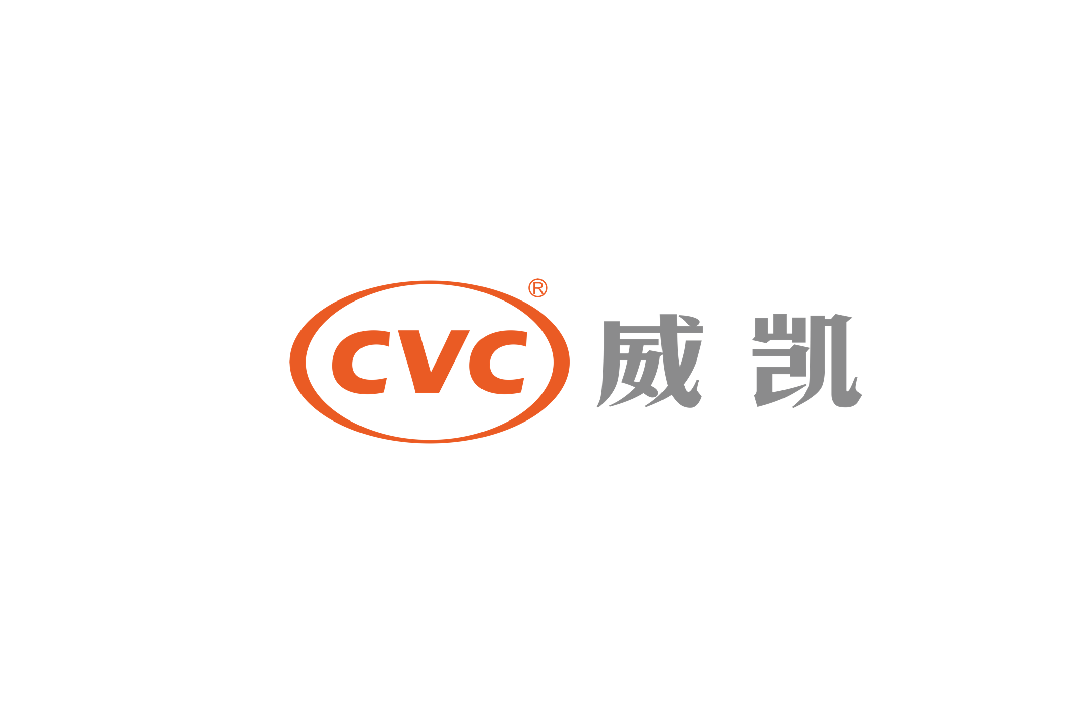 建立“中国电研威凯公司”品牌